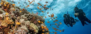 viaje de buceo al mar rojo